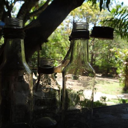 Jacareí Chale Rancho Aratama Bed & Breakfast エクステリア 写真