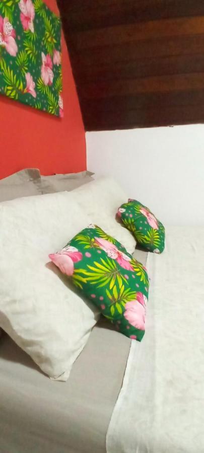 Jacareí Chale Rancho Aratama Bed & Breakfast エクステリア 写真
