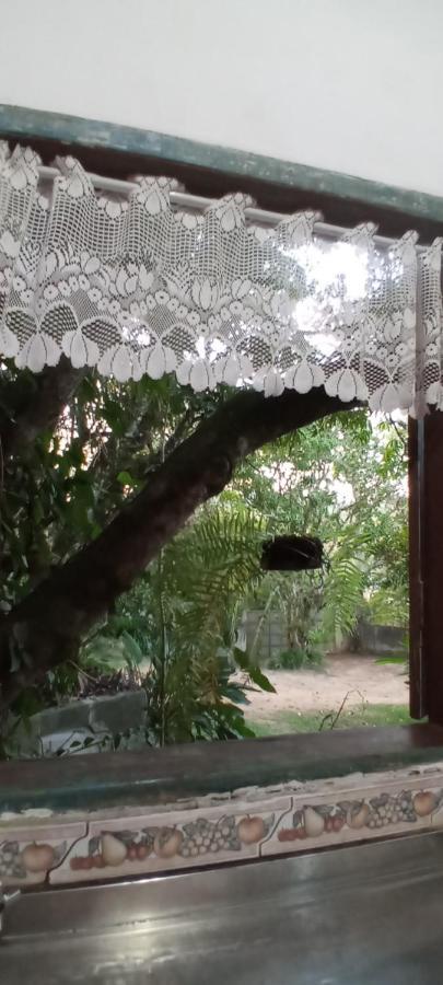 Jacareí Chale Rancho Aratama Bed & Breakfast エクステリア 写真