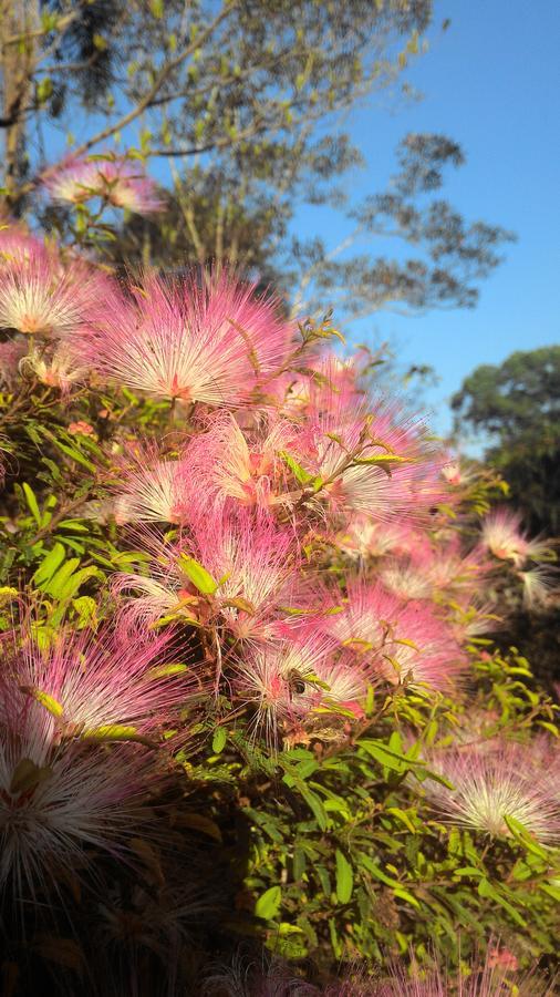 Jacareí Chale Rancho Aratama Bed & Breakfast エクステリア 写真