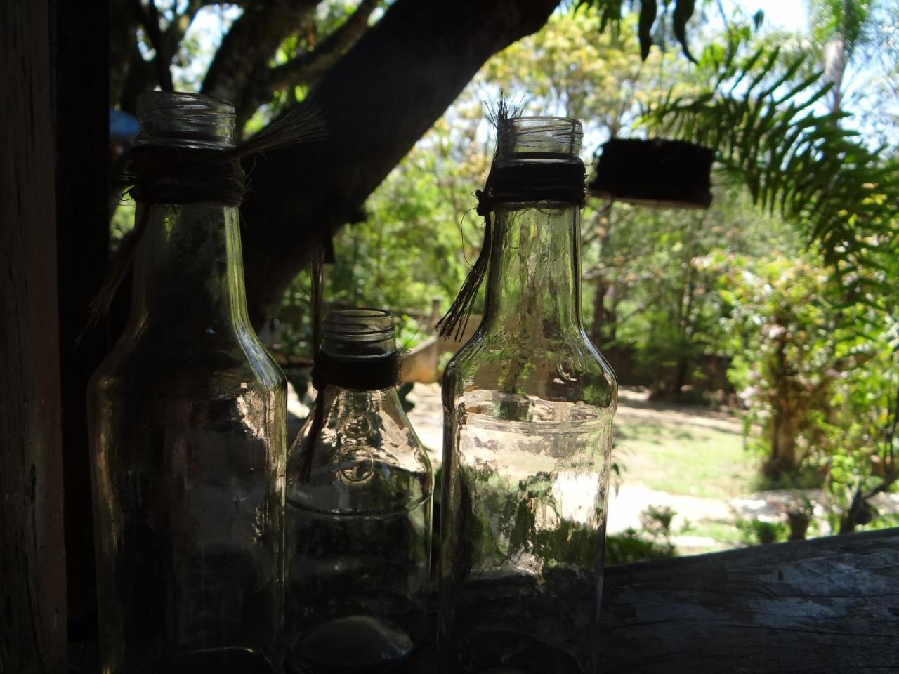 Jacareí Chale Rancho Aratama Bed & Breakfast エクステリア 写真