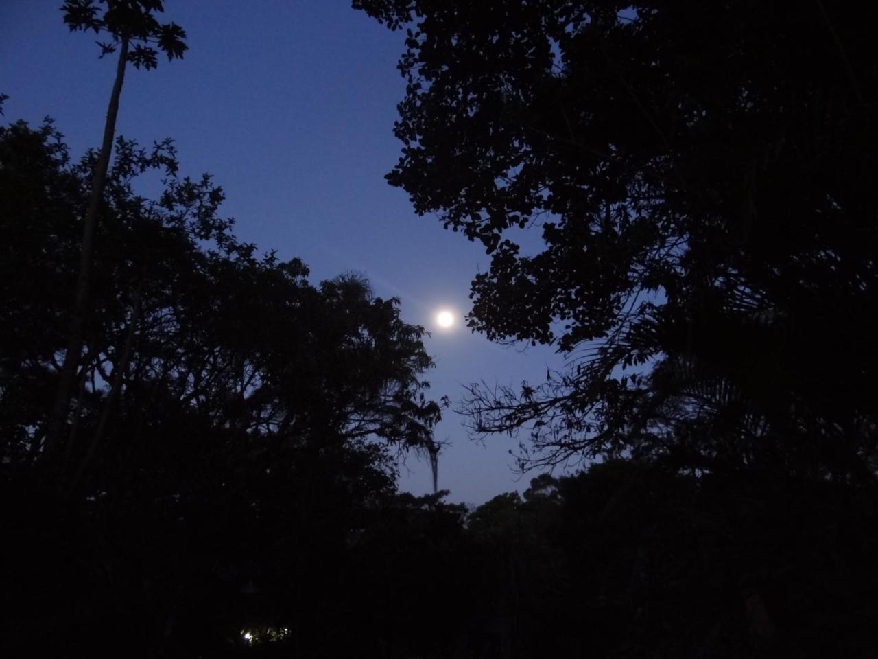 Jacareí Chale Rancho Aratama Bed & Breakfast エクステリア 写真